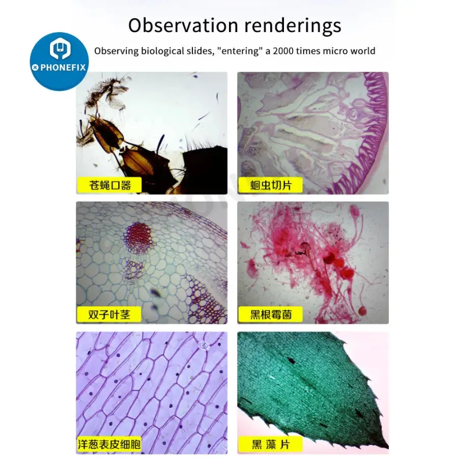 2000X Biological Monocular Microscope For Student Lab Educational Toy
