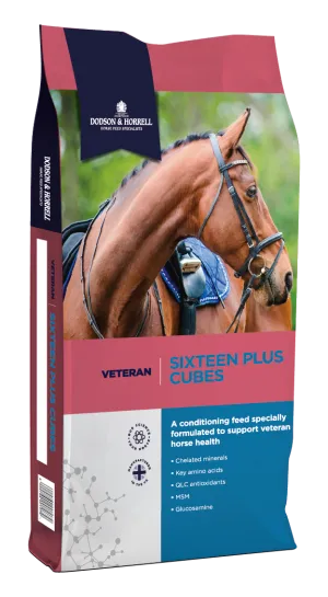 Dodson & Horrell Sixteen Plus Cubes 20kg