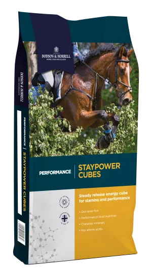 Dodson & Horrell Staypower Cubes 20kg