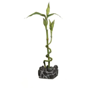 Marina 2L Betta Kit Bamboo Ornament