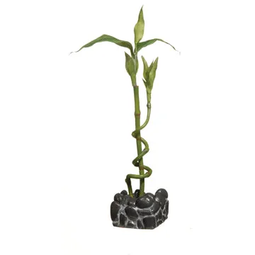 Marina 2L Betta Kit Bamboo Ornament